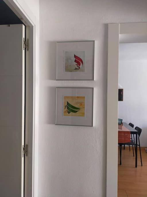 Precioso Y Luminoso Apartamento En El Centro 엘푸에르토데산타마리아 외부 사진
